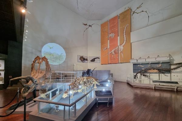 밀양 역사 문화 볼 수 있는 시립 박물관